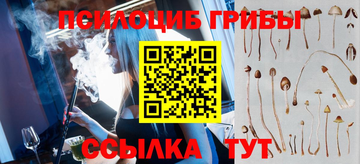 Галлюциногенные грибы прущие грибы  Вход с VPN  Галлюциногенные грибы MAGIC MUSHROOMS  Вышний Волочёк 