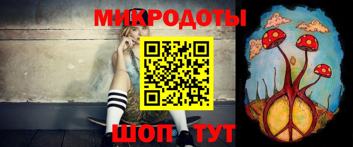 Псилоцибиновые грибы Psilocybine cubensis Вышний Волочёк